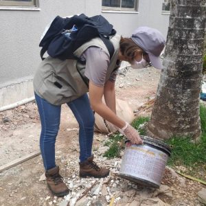 Balneário Camboriú tem 213 casos confirmados de Dengue