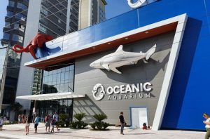 Toda renda líquida da venda de ingressos do Oceanic Aquarium será revertida para a ONG Viva Bicho