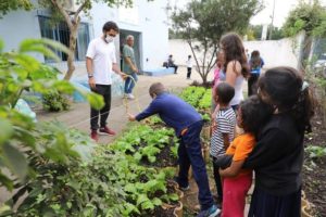Horta construída em centro de convivência na Costeira promove discussões sobre sustentabilidade e alimentação saudável