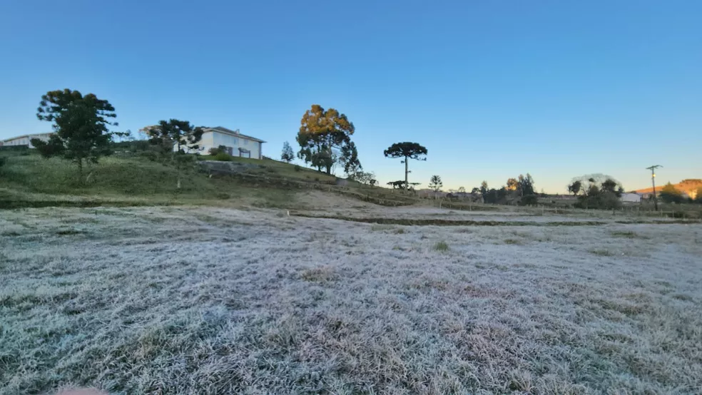 Agosto começa com temperaturas abaixo de zero