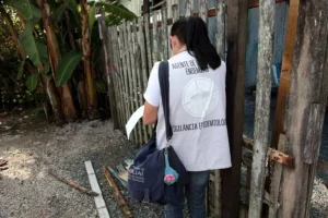 Município de Itajaí reforça visitas de orientação e combate à dengue