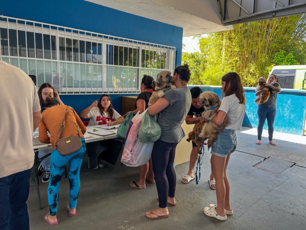 Castrações gratuitas de cães e gatos ocorrerão no Bairro das Nações e no Bairro da Barra