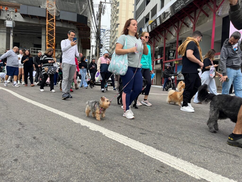 Cãominhada de Balneário Camboriú será neste sábado